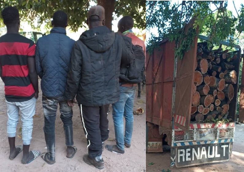 Casamance : Un camion transportant du bois et un minibus chargé de 85 sacs de charbon saisis par l'armée