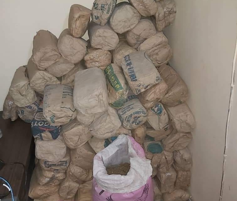 Route de Fafakourou: 127 kilos de chanvre saisis