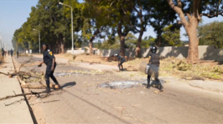 Ziguinchor - Les étudiants mettent le feu dans les rues pour réclamer...