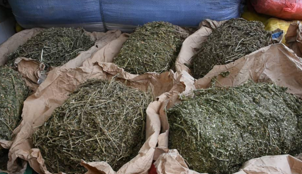 Kaolack : Un militaire arrêté avec 4 kg de chanvre indien