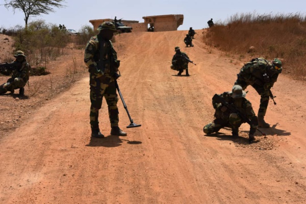 Boutoupa-Camaracounda : L'armée pilonne une colonne de rebelles, plusieurs morts