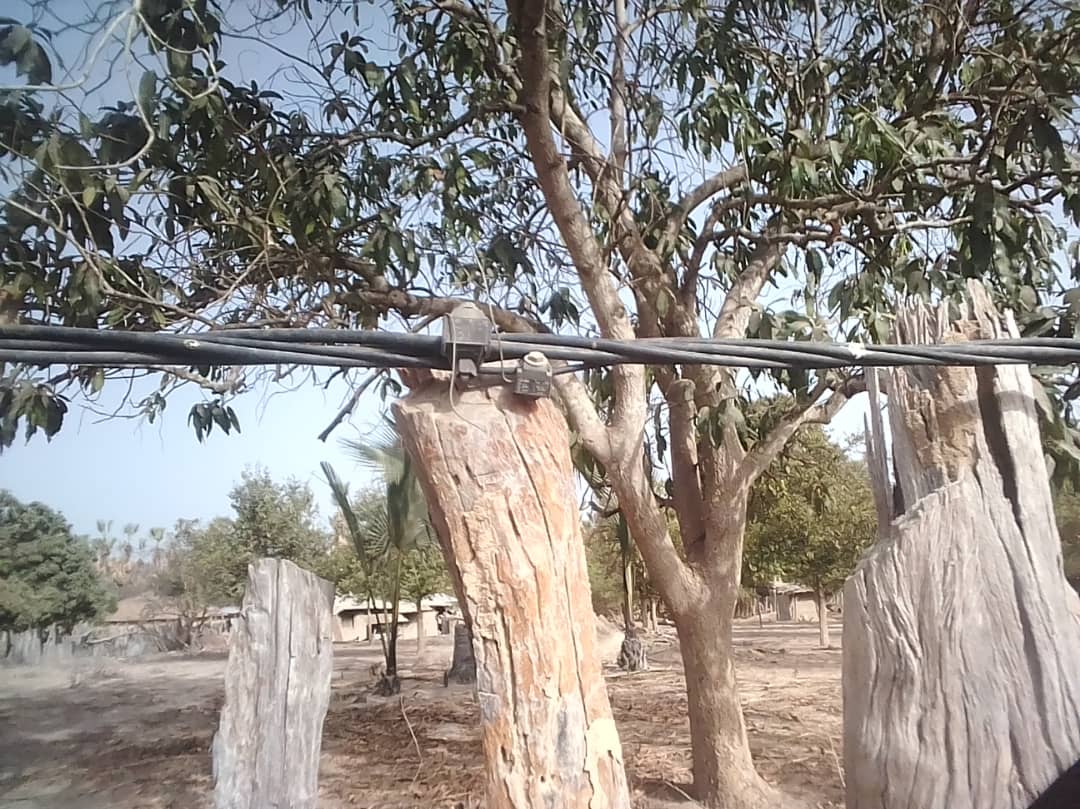 Bignona: Quand la Senelec joue avec la vie des populations du village de Tendouck