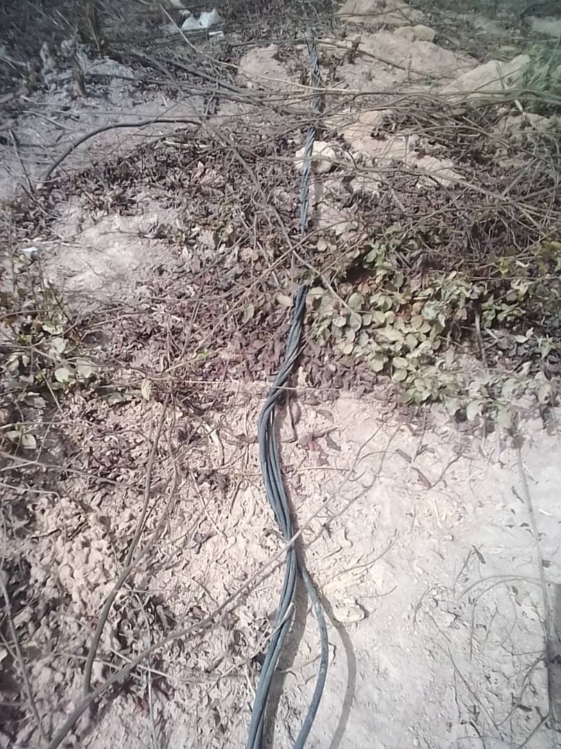 Bignona: Quand la Senelec joue avec la vie des populations du village de Tendouck