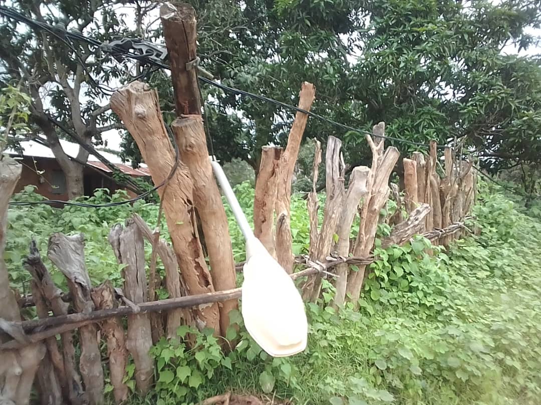 Bignona: Quand la Senelec joue avec la vie des populations du village de Tendouck