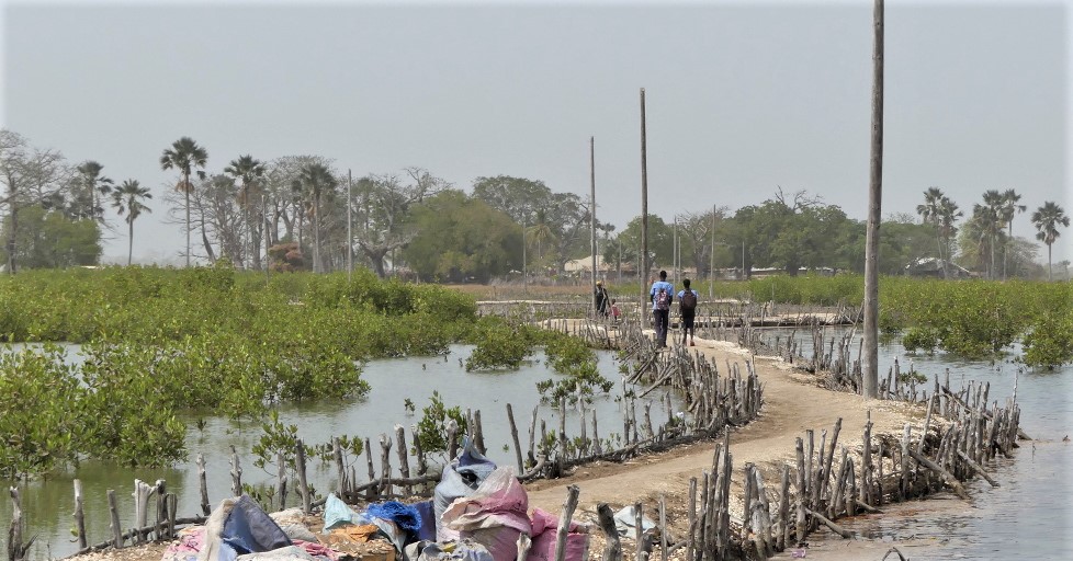 ENCLAVEMENT : A la découverte de l'île de Niomoune "abandonnée" par l'Etat... 3000 âmes sans eau potable ni de poste santé sérieux...(Vidéo)