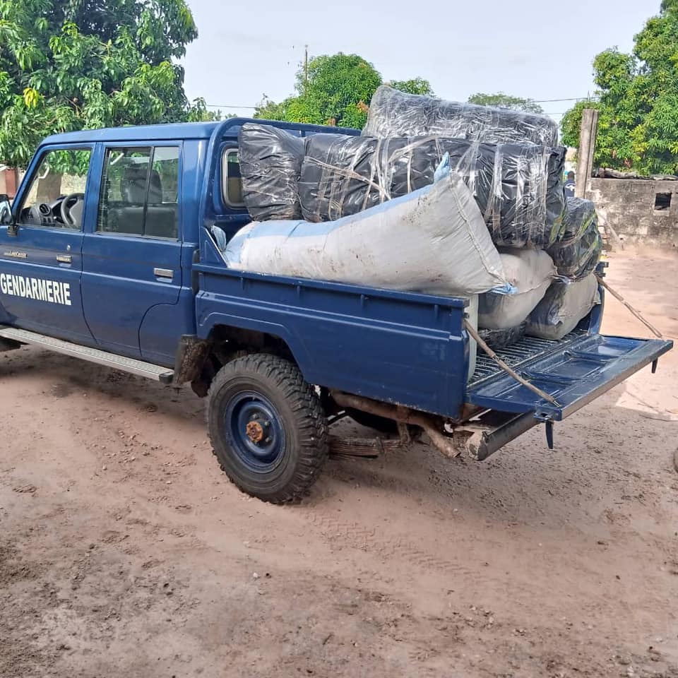 Bignona : 245 KG de chanvre indien saisis