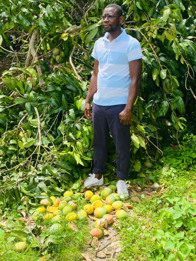 Amadou Diao, responsable politique de la diaspora : “Je suis consterné et peiné de voir pourrir les mangues en Casamance”