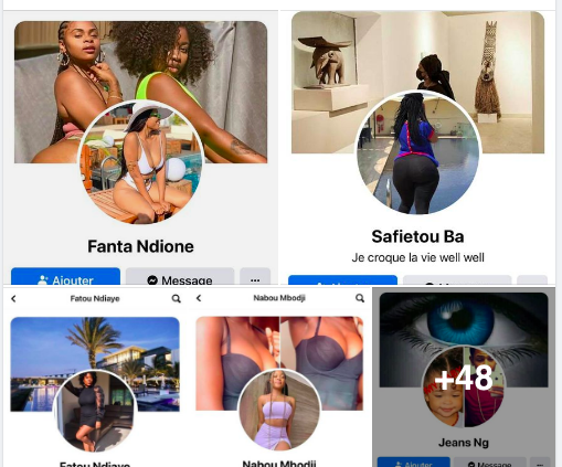 GUEUM SA BOPP dans du faux