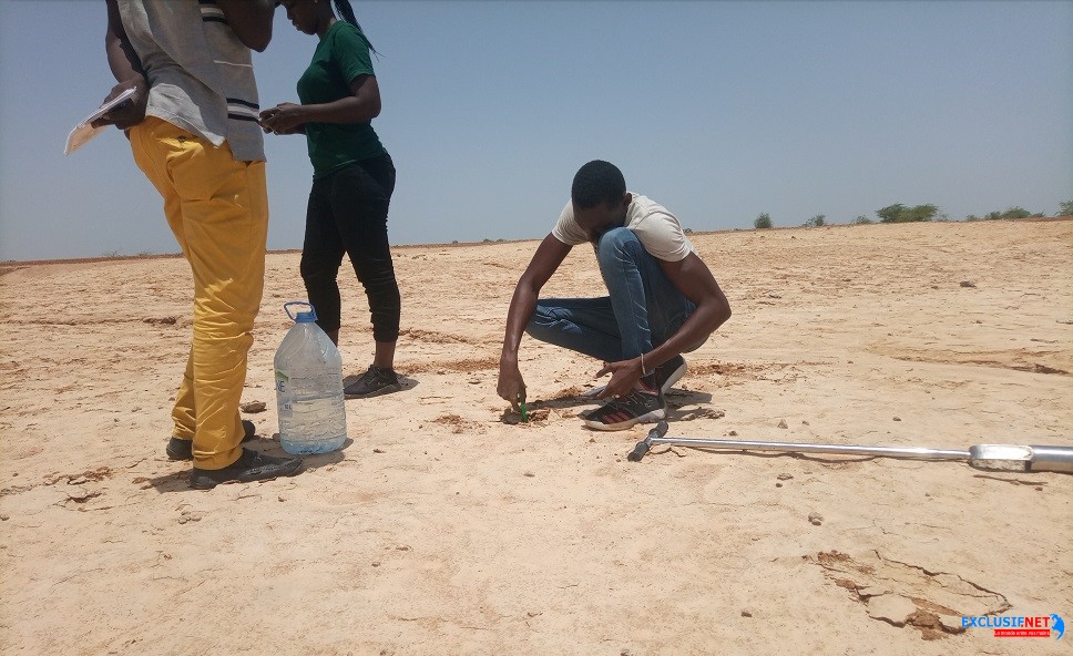 Delta du Sénégal : Le Sel menace les terres