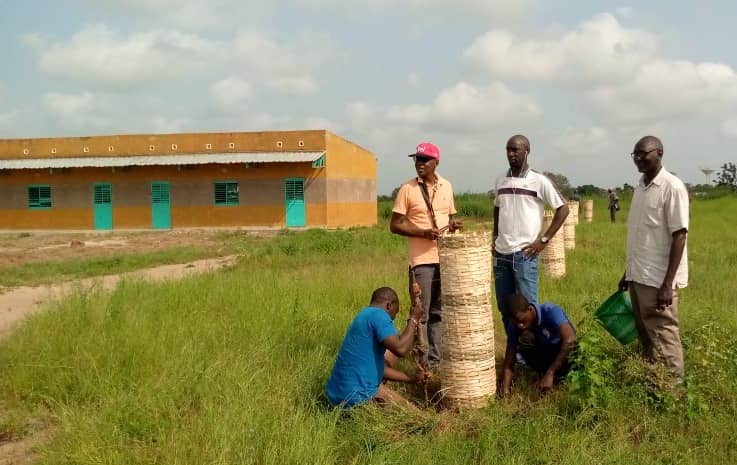 Réalisation du concept "ouby Tey diang Tey" : la Cosydep pose l'acte I par l' amélioration du cadre de vie à Kolda