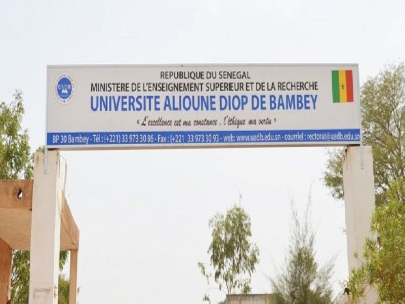 ​Université Alioune Diop de Bambey- Une soixantaine d'étudiants victimes d'intoxication alimentaire