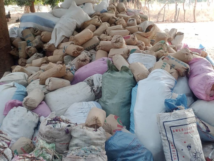 Bignona : l'armée contrôle les bases de Niombolong et Médiadia