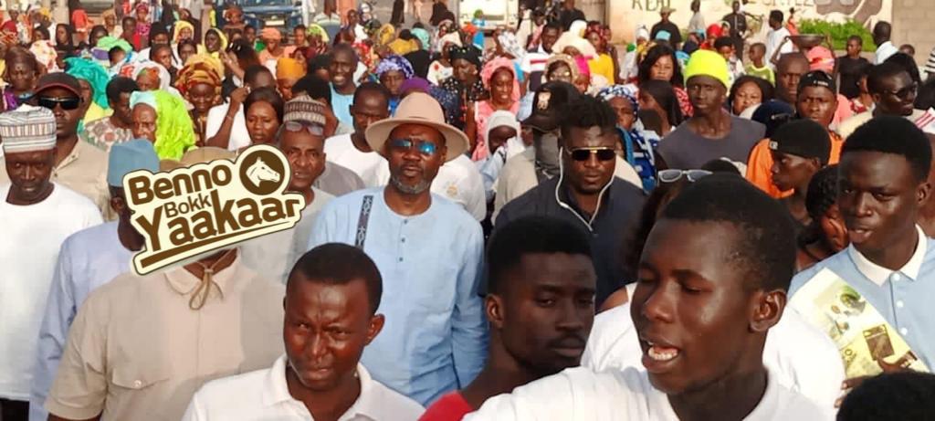 Victoire de la coalition BENNO BOKK YAAKAAR dans le Saloum : la Jeunesse du MDIS magnifie l’apport de leur leader le DG Samba Ndiaye*