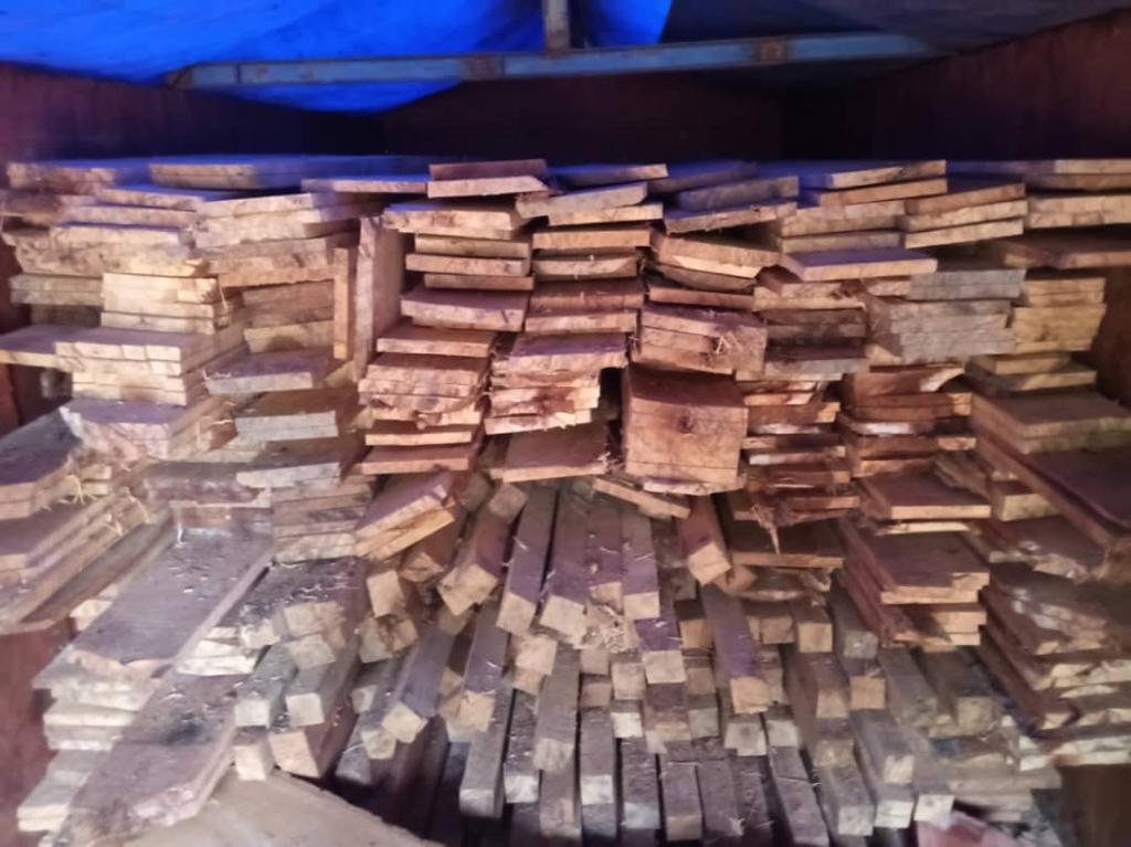 Trafic de bois en Casamance : 250 planches et 160 poutrelles en Kapokier saisies à Vélingara
