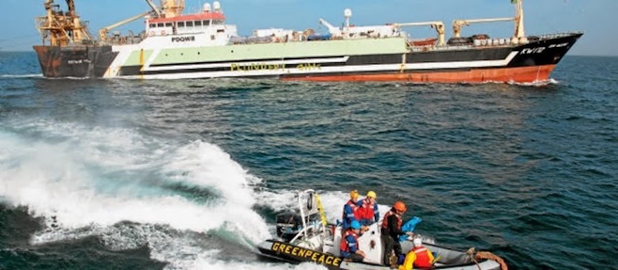 Gestion des ressources marines et côtières : Les acteurs misent sur la préservation de l’environnement