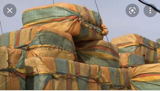 Ils ont saisi 60 000 kg de drogue !