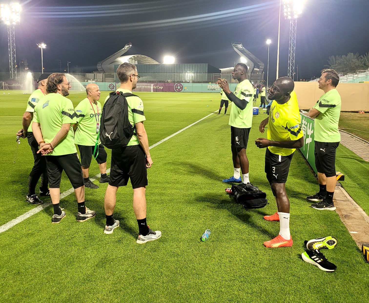 ​Mondial 2022 au Qatar: Sept Lions rescapés de Russie 2018