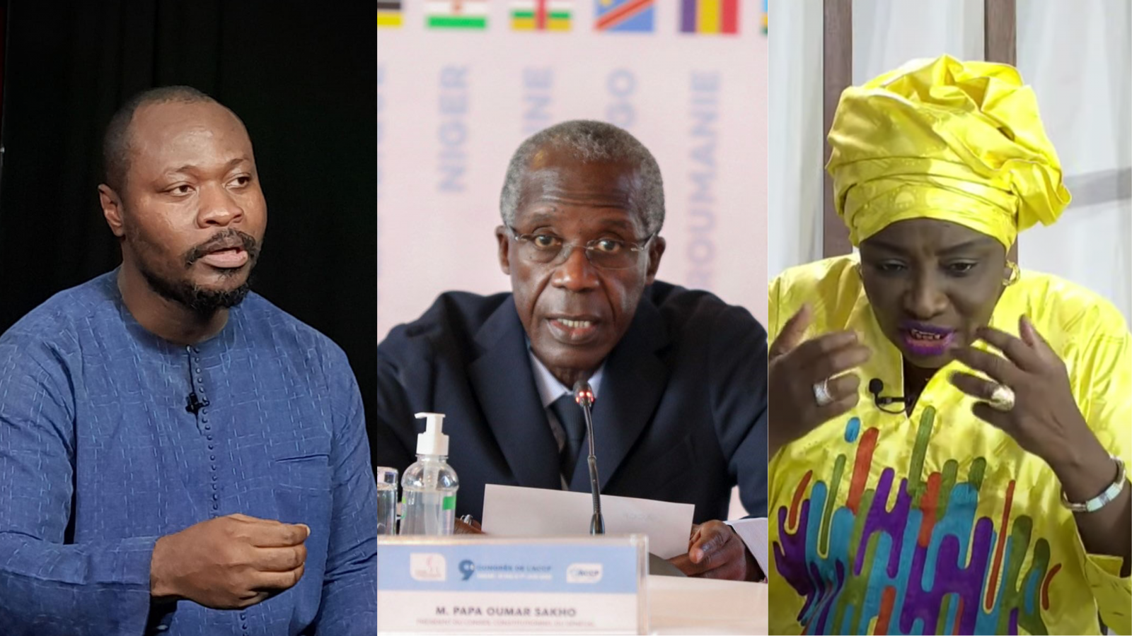 Saisine de Mimi et de Guy Marius : La "décision" du Conseil constitutionnel !