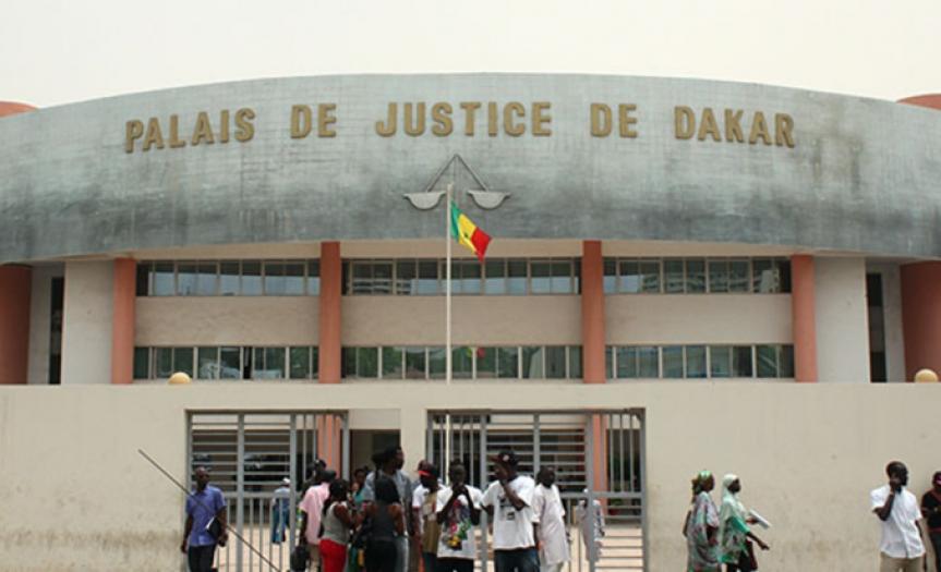 Tribunal de Dakar : un chat s’invite au procès de Adji Sarr / Ousmane Sonko