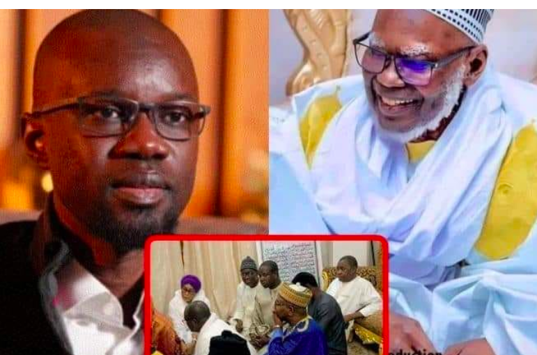 Habib Sy : « Le Khalife nous a envoyé vers Sonko, il nous a aussi confié un présent à lui remettre »