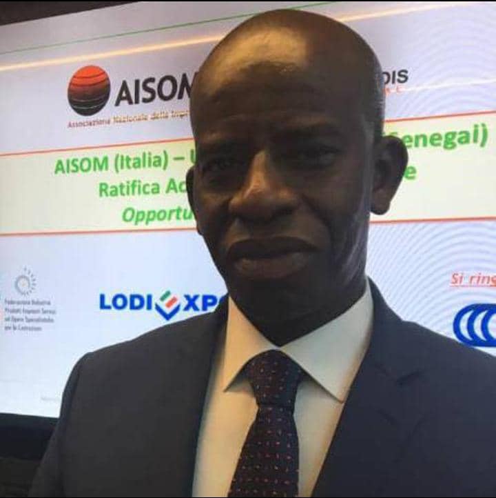 La bataille  du Djoloff aura bien lieu  !