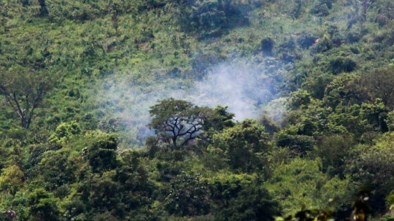 Brésil: 14 morts dans le crash d'un avion en Amazonie