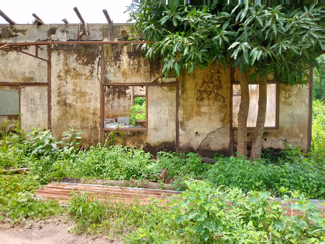 Casamance : Le village de Bissine renait de ses cendres