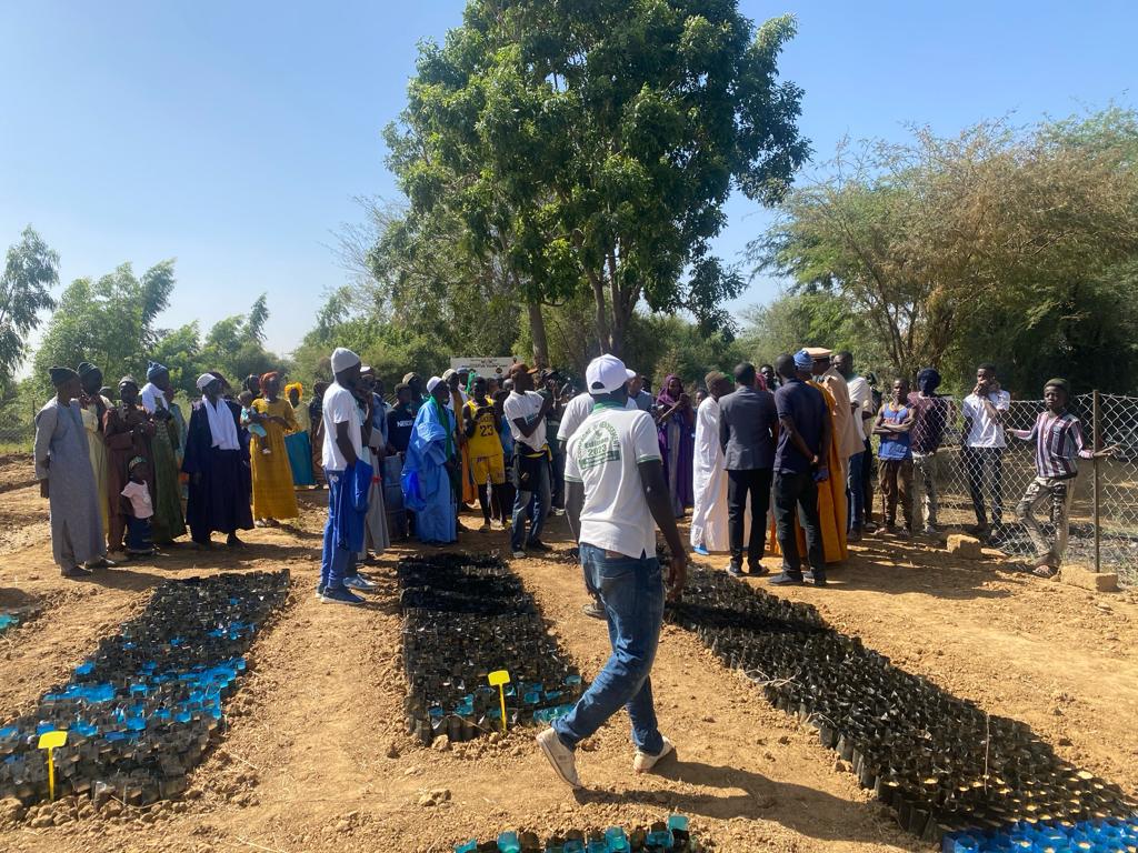 Podor -Vert : installation d’une pépinière avec une capacité de 40 000 plants