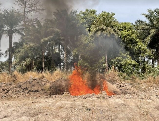 Casamance : Les armes de guerre d'ex combattants du MFDC détruites