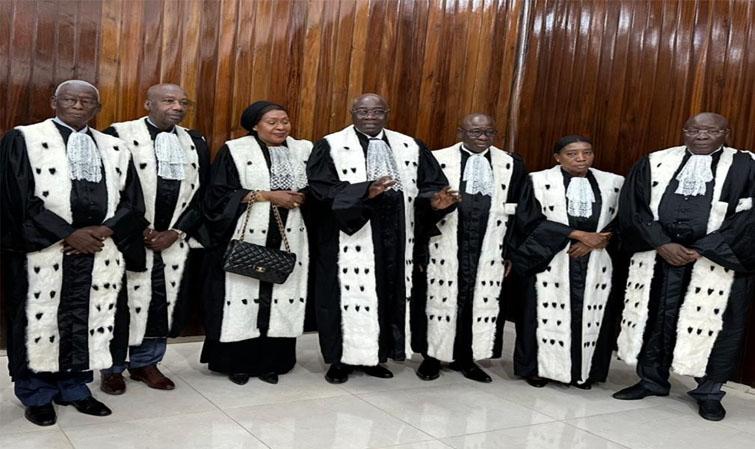 Le Conseil constitutionnel avertit : « ces accusations ne sauraient rester sans conséquences pour leurs auteurs »