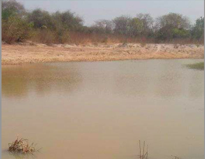 Drame dans la commune Kandiaye : Un vieillard s’est noyé au lac Waima de Saré Yéro Soudy