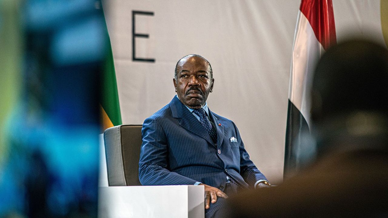 Parti Démocratique Gabonais  : Ali Bongo et sa Maman destitués 