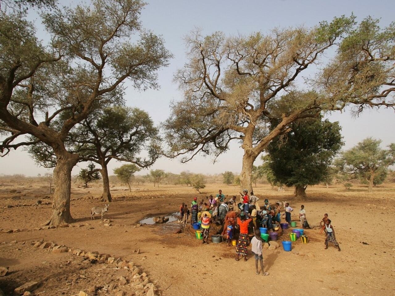 "Lueur d'espoir au Mali : Une partie des otages retrouve la liberté