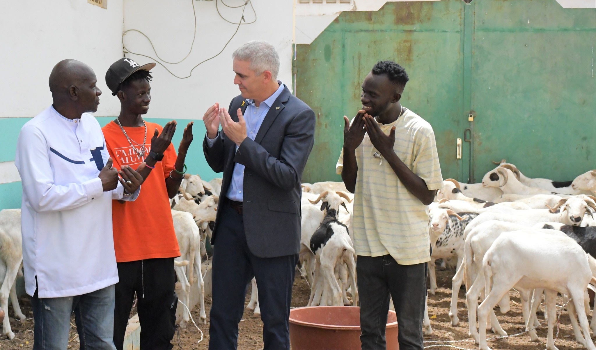 L’ambassadeur d’Israël hué et chassé de l’UCAD, tente un contre-feu avec un don de moutons