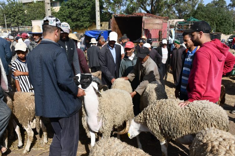 Le Maroc célèbre un Aïd el-kebir sans sacrifice du mouton après l’appel du roi Mohammed VI