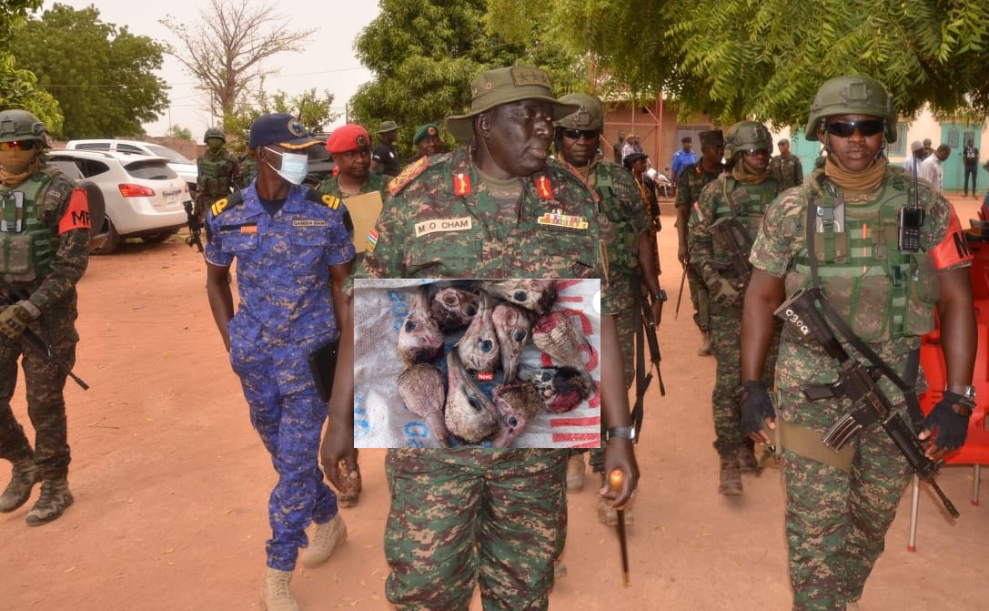 Gambie : L’armée secouée par une affaire de "massacre" de vautours