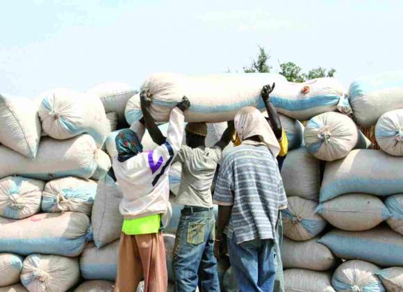 CAMPAGNE ARACHIDIER: Le Sénégal trouve 75 millions $ US pour Suneor