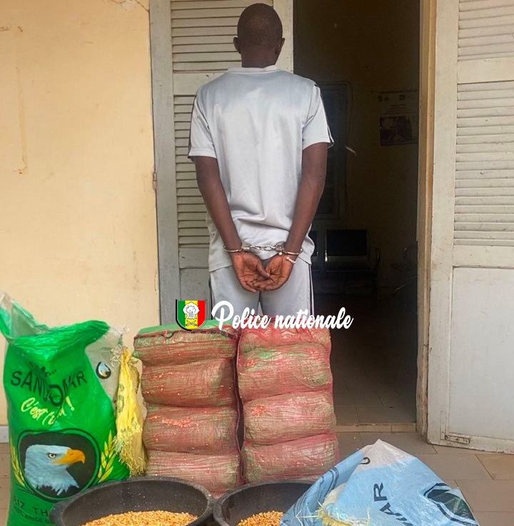 Trafic de drogue : la police découvre 18 kg de chanvre dissimulés dans des sacs de maïs