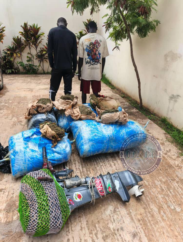 Lutte contre le trafic de drogue : 243 kg de chanvre indien saisis à Thiaroye-sur-Mer