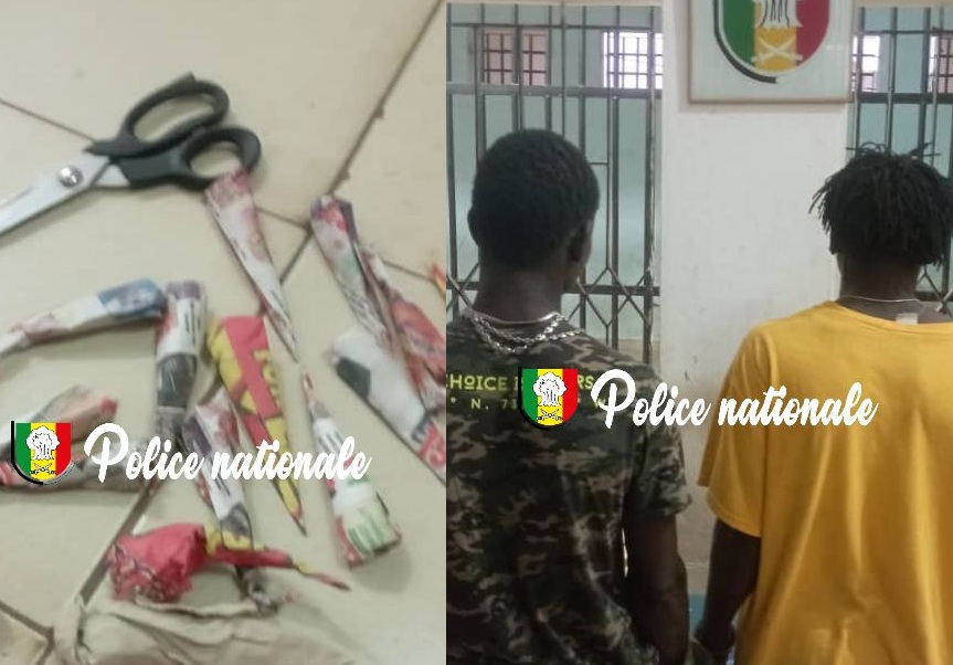 Jaxaay : cinq individus arrêtés pour trafic de chanvre indien