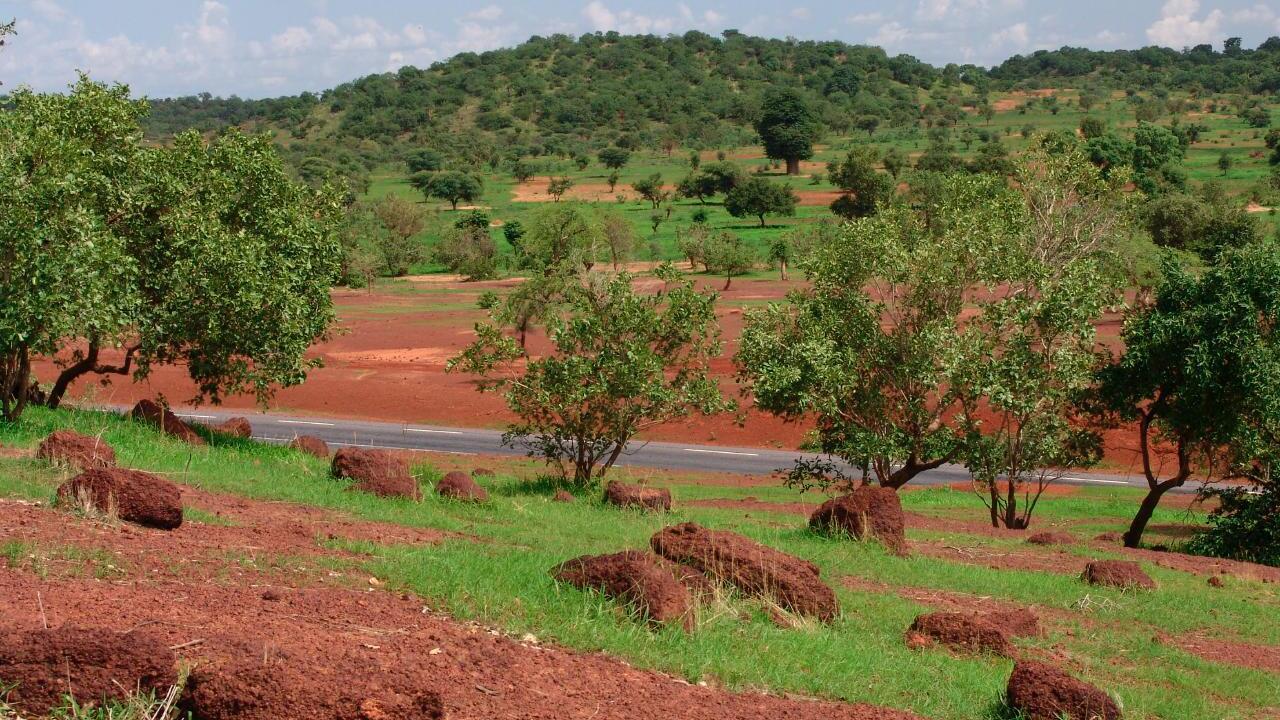 Mali : le maire de Dogofry assassiné sur l’axe Diabaly-Dogofry