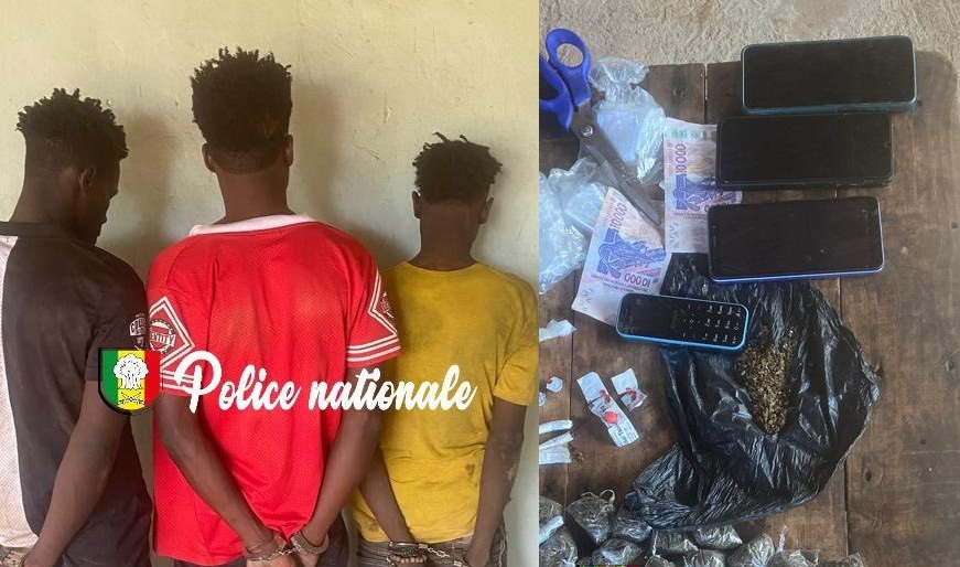 Kédougou : trois individus interpellés pour détention de stupéfiants à Bantaco