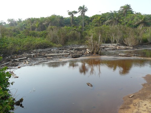Sédhiou: Deux filles  violées, tuées et jetées dans un marigot, 