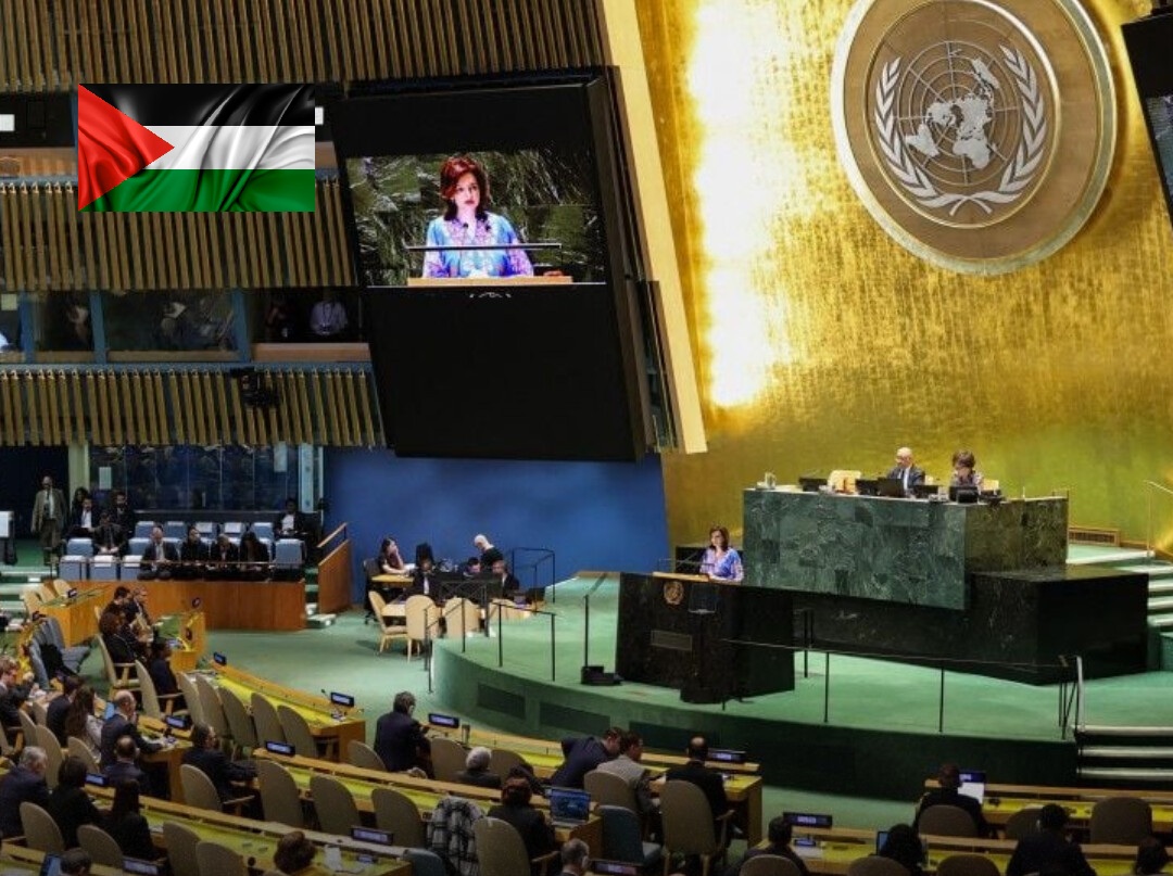 New York :  l'ONU adopte une déclaration pour un Etat Palestinien 