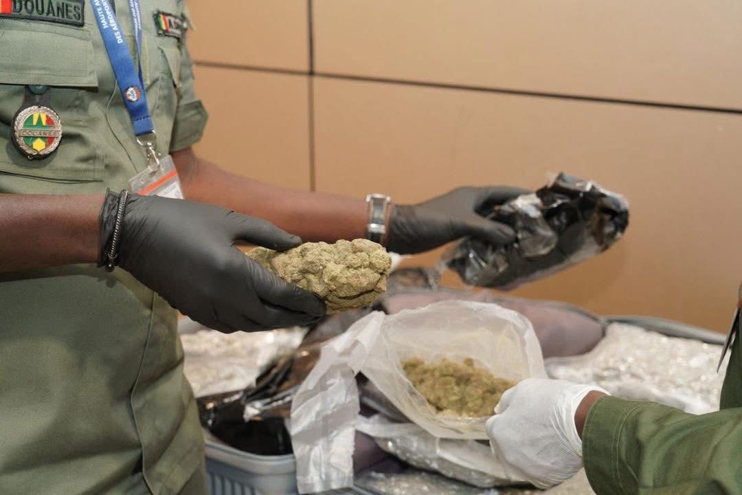 AIBD :les images de la saisie spectaculaire de 32 kg de haschich dissimulés dans des valises