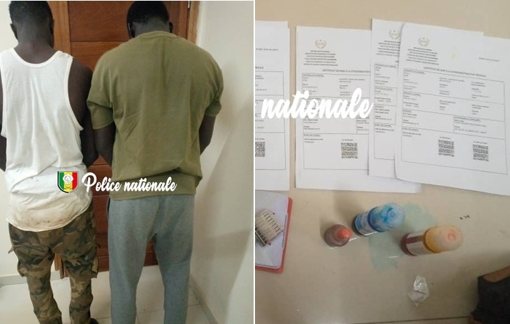 Mbour : arrestation de deux individus pour faux et usage de faux documents administratifs