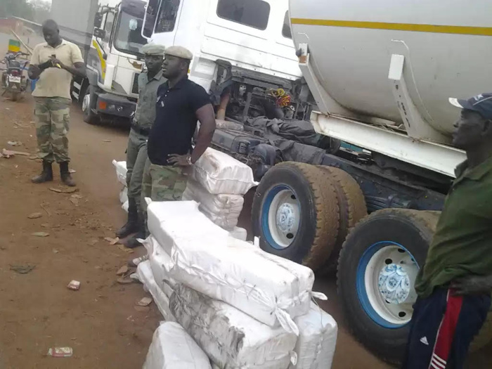 Ziguinchor: La Douane saisit 480 kg de chanvre indien et 70 boulettes de cocaïne
