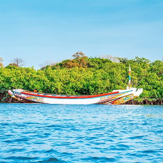 Casamance : un projet de 33 milliards Fcfa pour sauver le fleuve