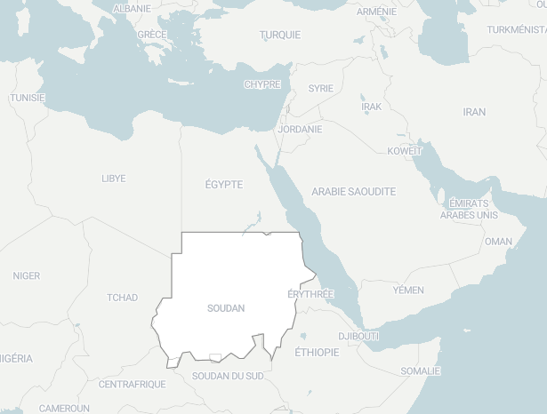 Soudan : comment les soutiens des FSR aggravent la crise humanitaire