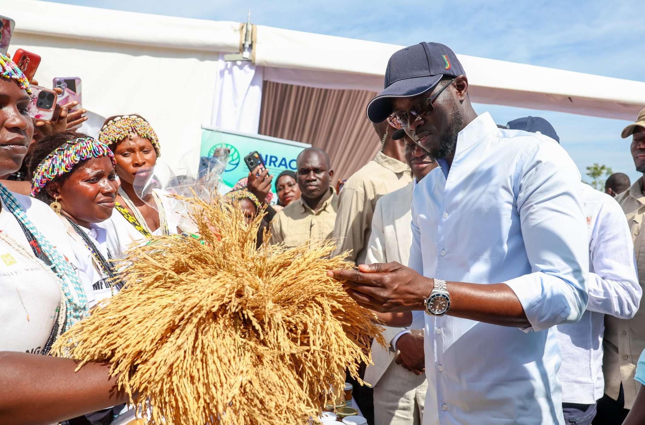 Casamance : face aux tentatives de stigmatisation, Diomaye Faye opte pour une réconciliation sincère